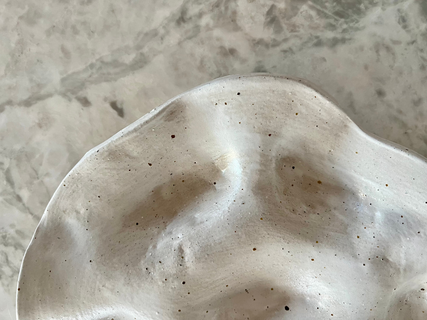 half dozen oyster plate - preorder